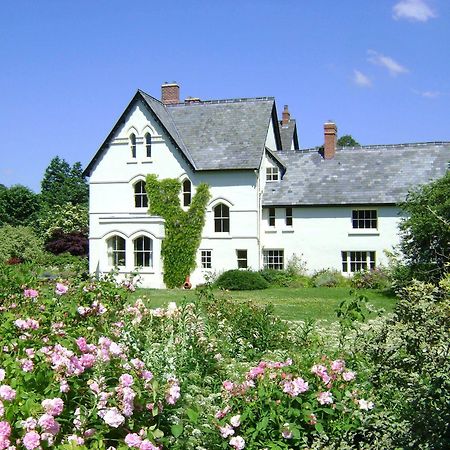 نيوتاون The Forest Country House B&B المظهر الخارجي الصورة