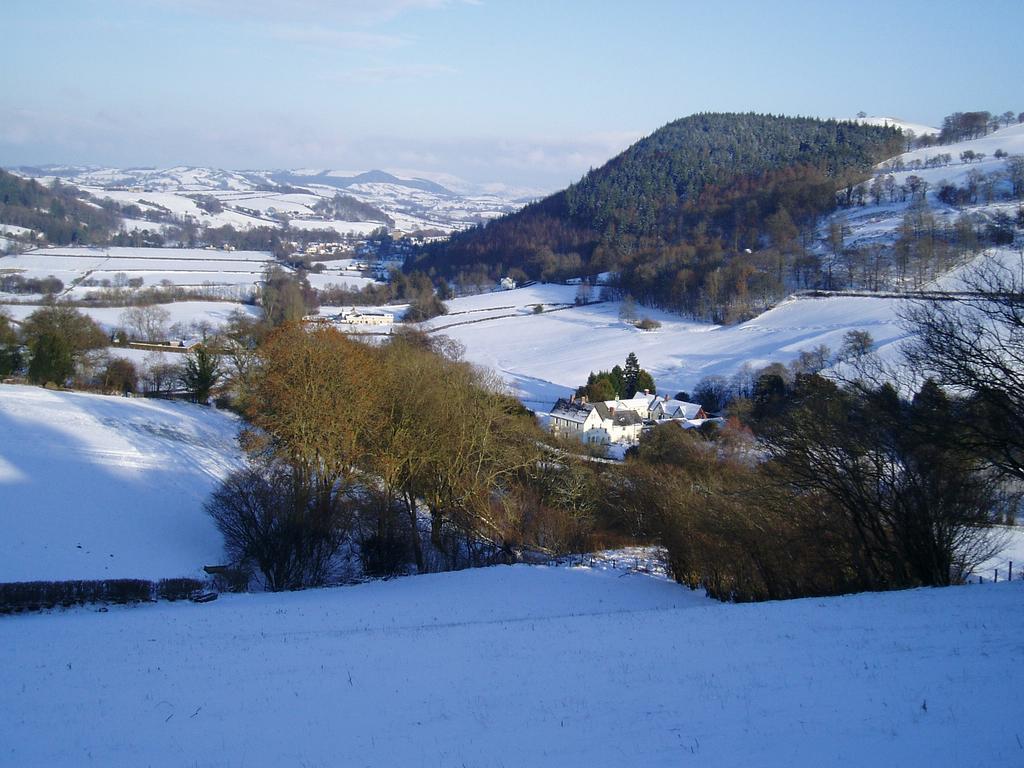 نيوتاون The Forest Country House B&B المظهر الخارجي الصورة