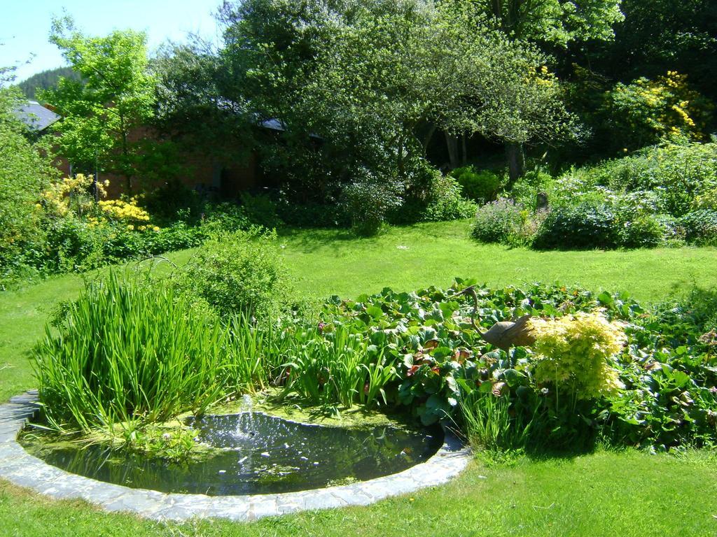 نيوتاون The Forest Country House B&B المظهر الخارجي الصورة