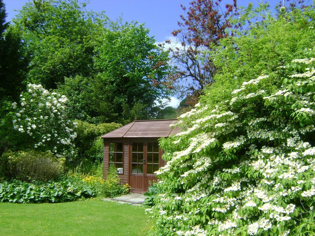 نيوتاون The Forest Country House B&B المظهر الخارجي الصورة