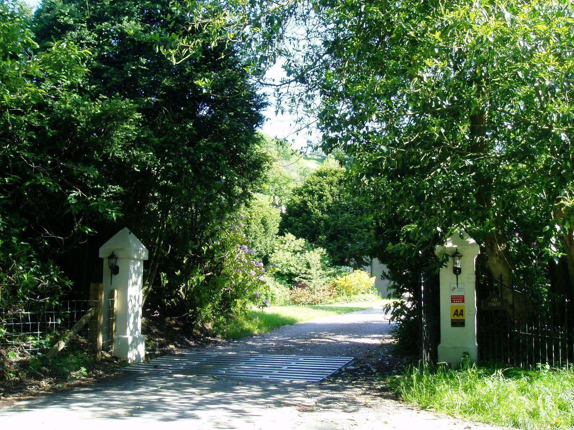 نيوتاون The Forest Country House B&B المظهر الخارجي الصورة