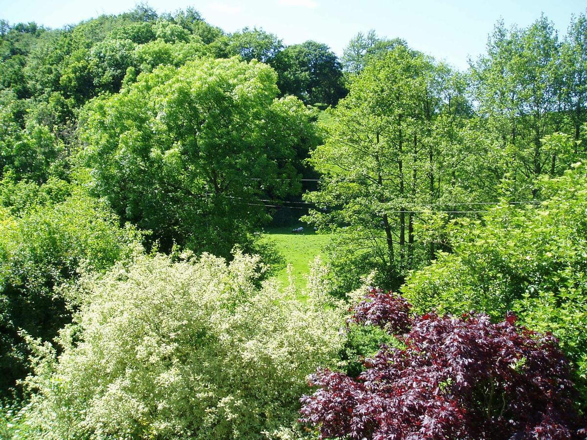 نيوتاون The Forest Country House B&B المظهر الخارجي الصورة